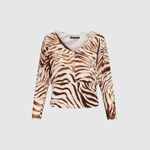 Animal Print Long Sleeve V Neck Top